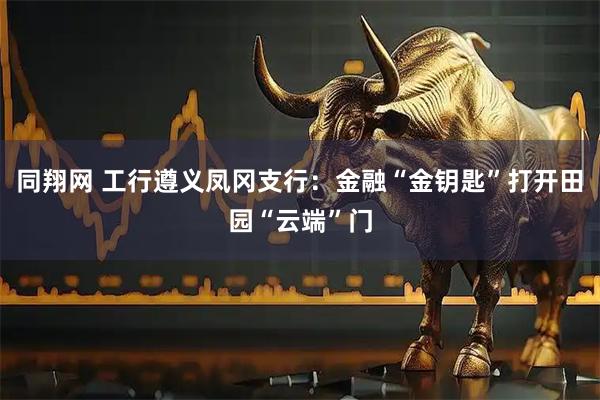同翔网 工行遵义凤冈支行：金融“金钥匙”打开田园“云端”门