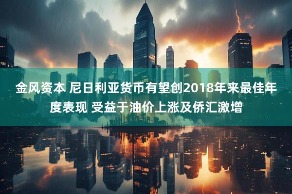 金风资本 尼日利亚货币有望创2018年来最佳年度表现 受益于油价上涨及侨汇激增